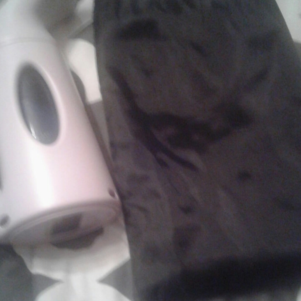 Steamer  and  bag